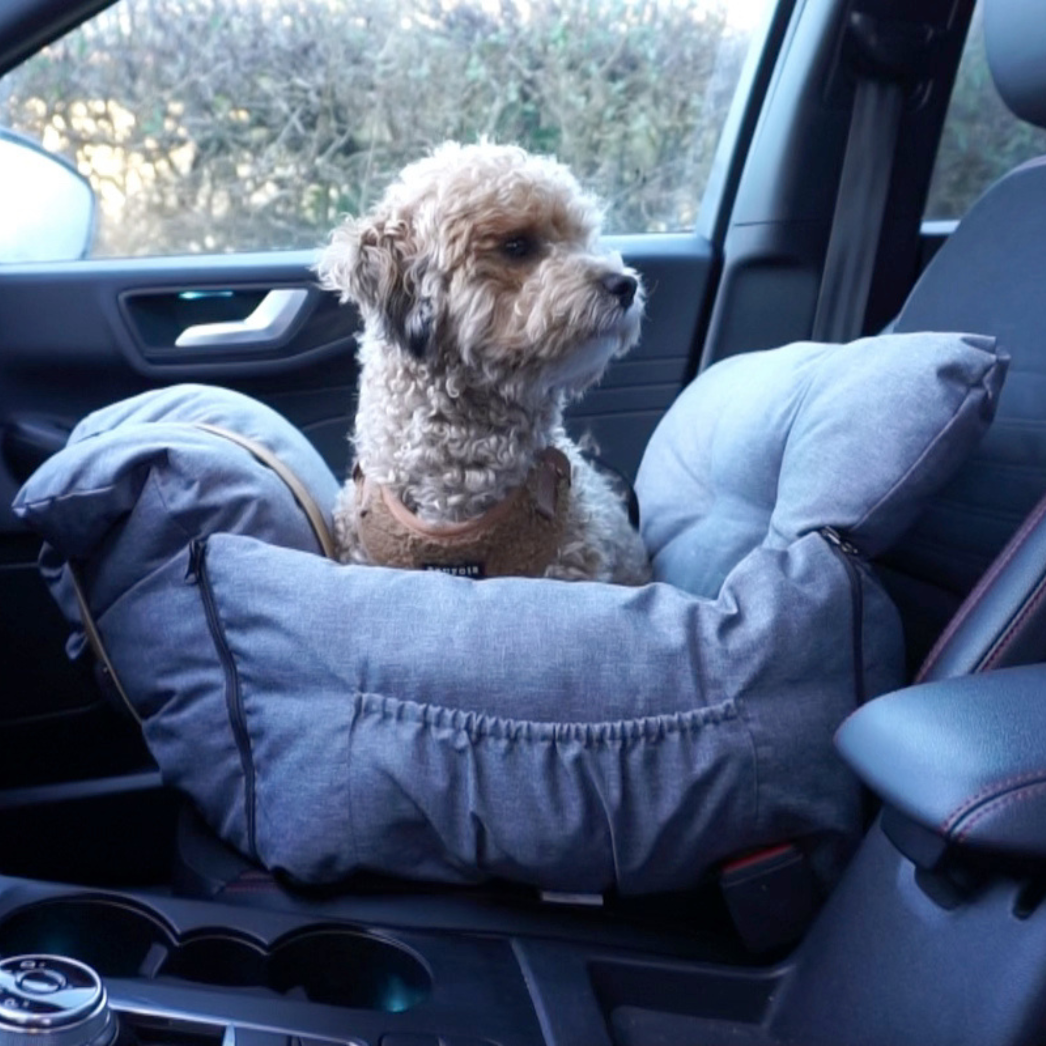 Milo Car Seat