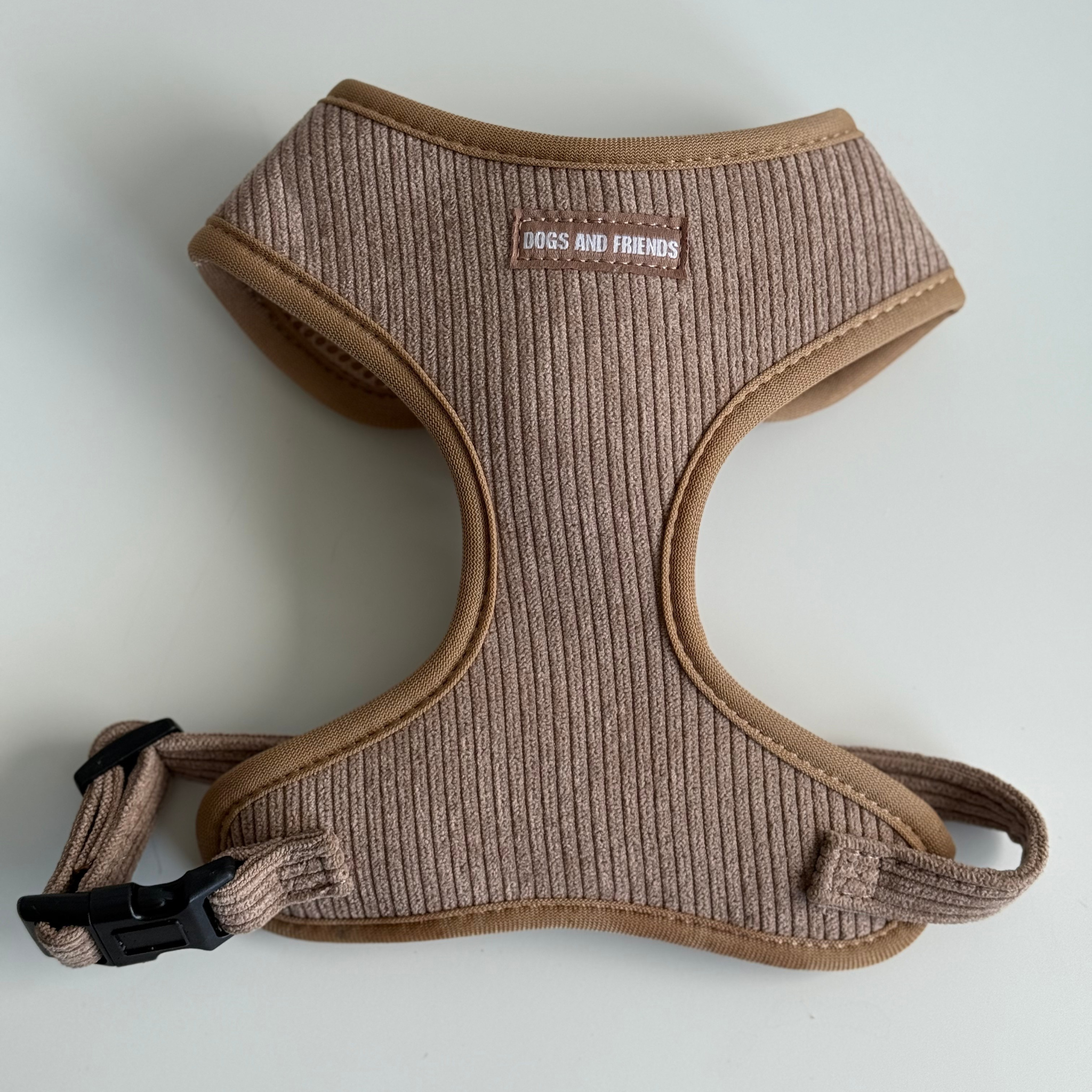 The walking set + treat bag