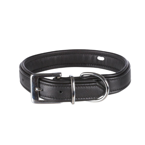 Black leather collar