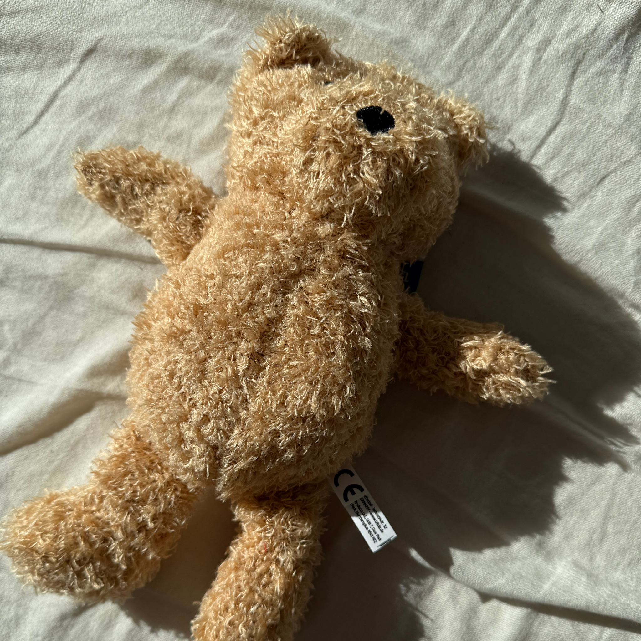 Bear