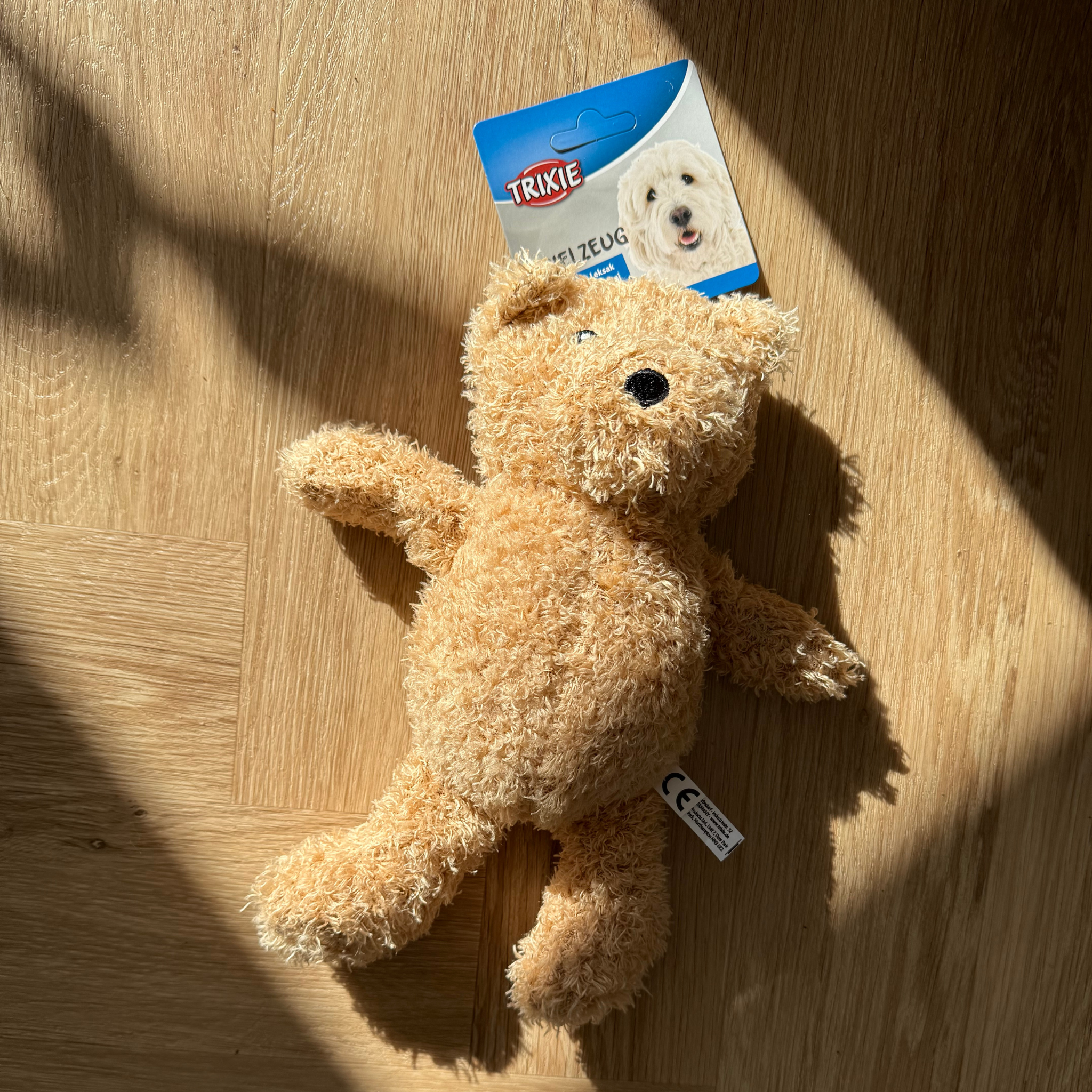 Bear