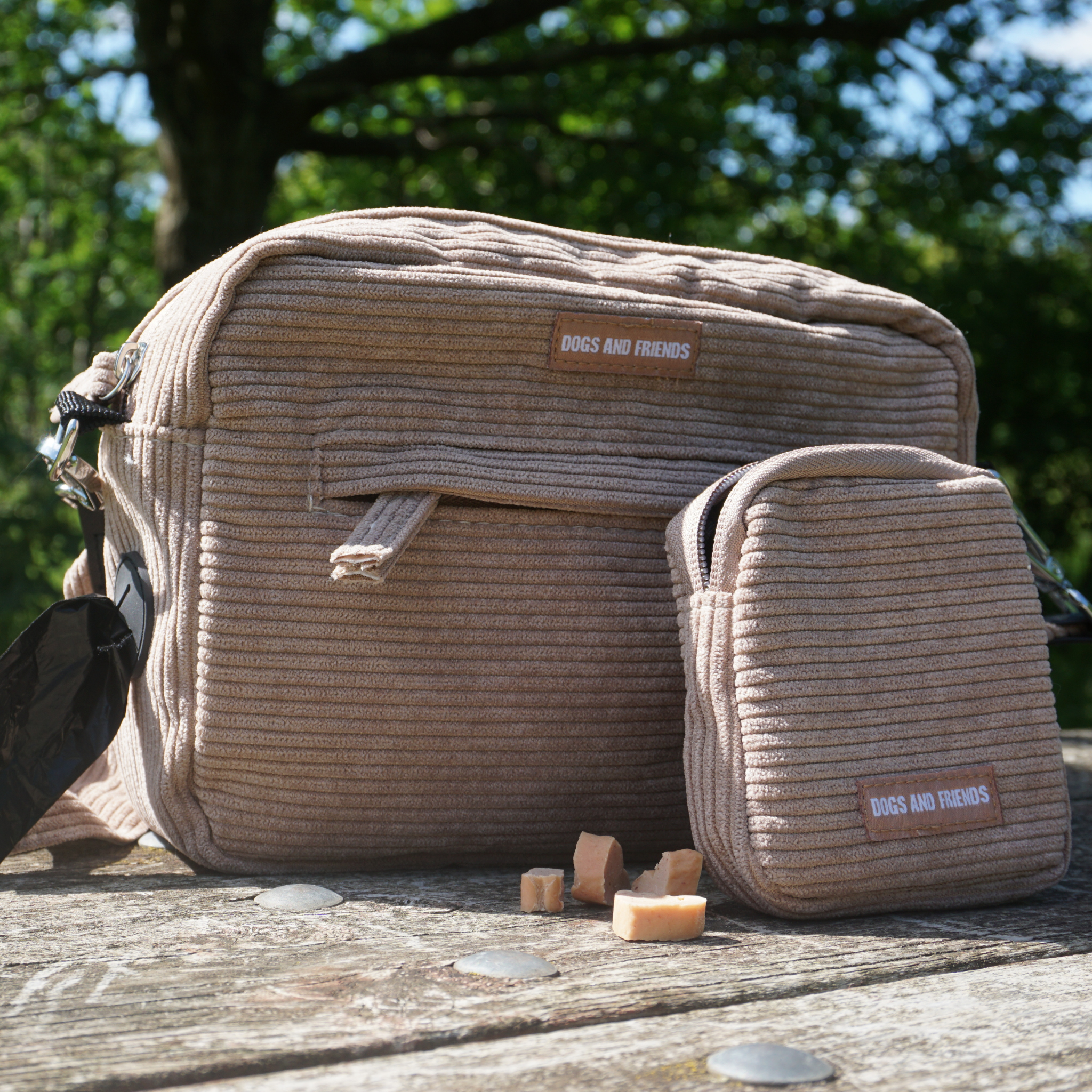 Walking bag