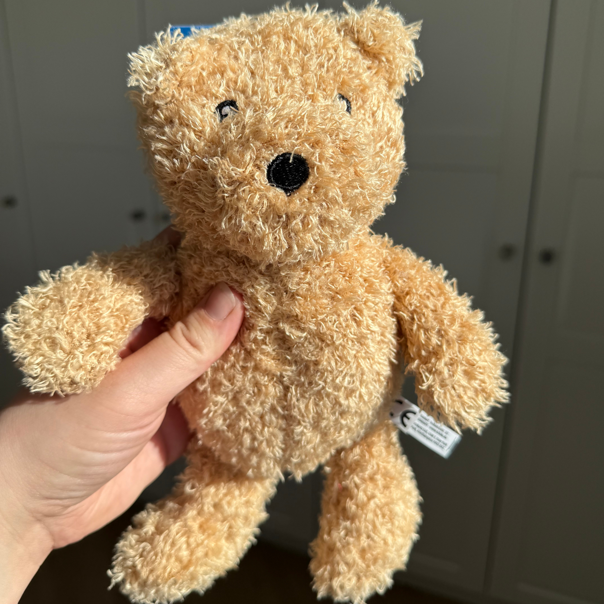 Bear