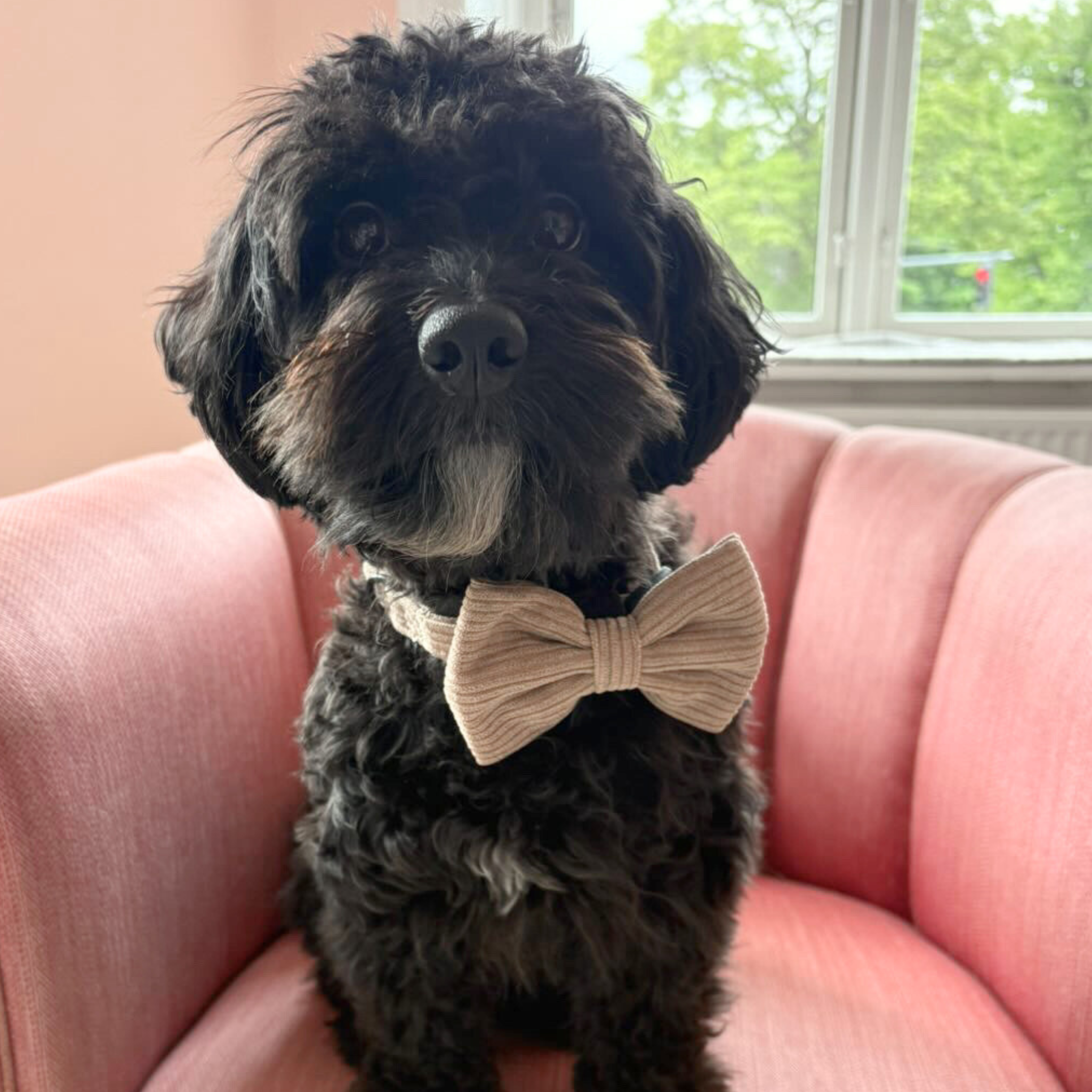 The walking set + godbidstaske