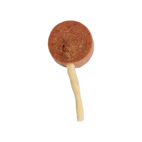 Companion lollipop with duck