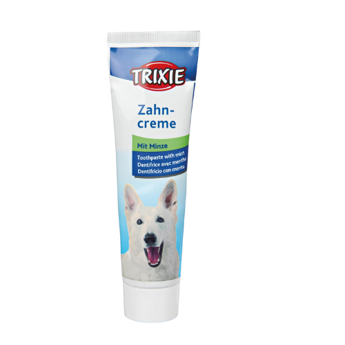 Toothpaste with mint