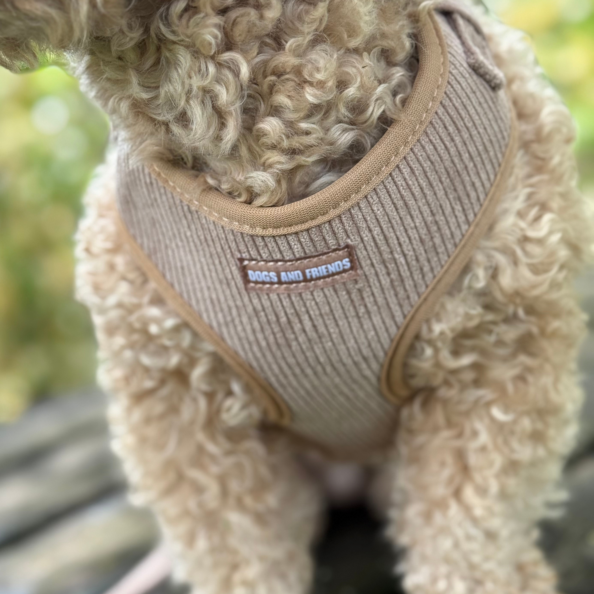 Soft velvet dog harness