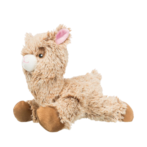 Alpaca