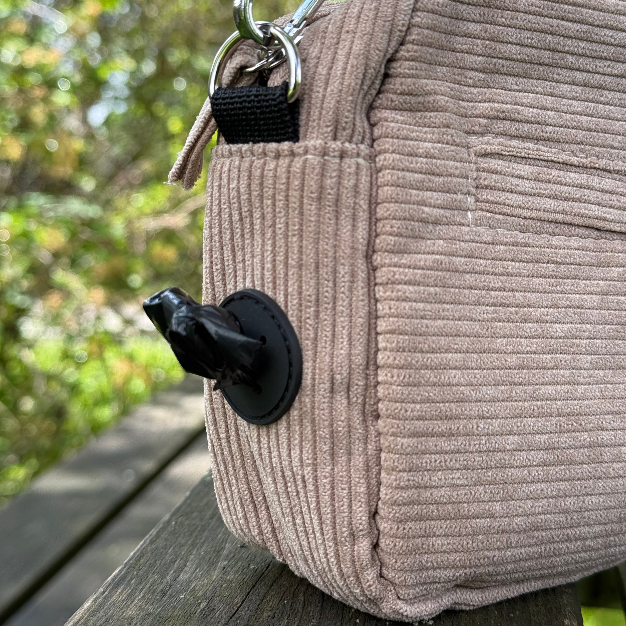 Walking bag