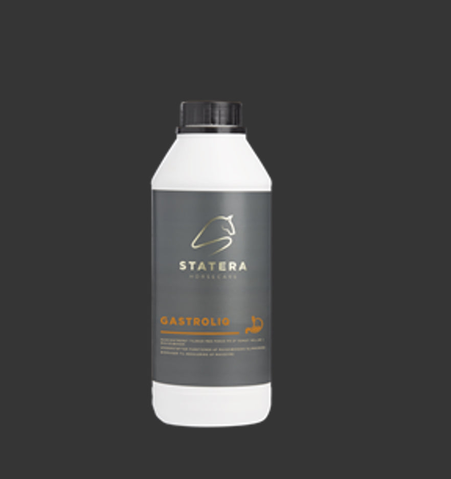 Statera Horsecare Gastroliq 1 L
