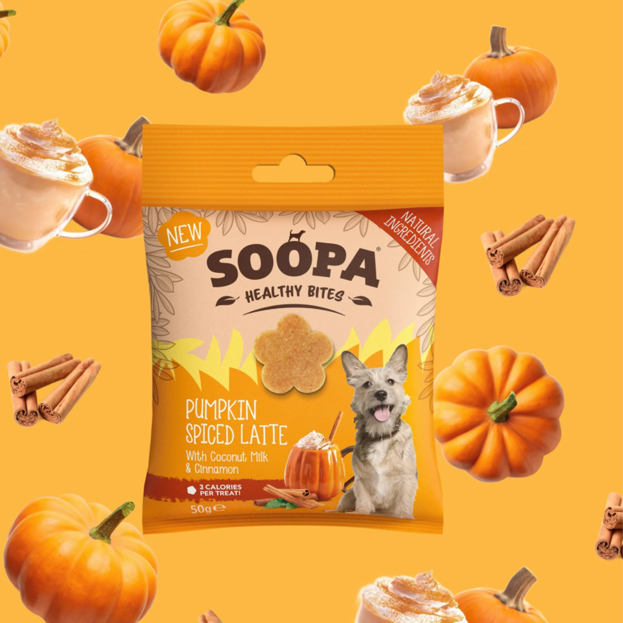 SOOPA Healthy Bites – Pumpkin Spiced Latte (100 g)