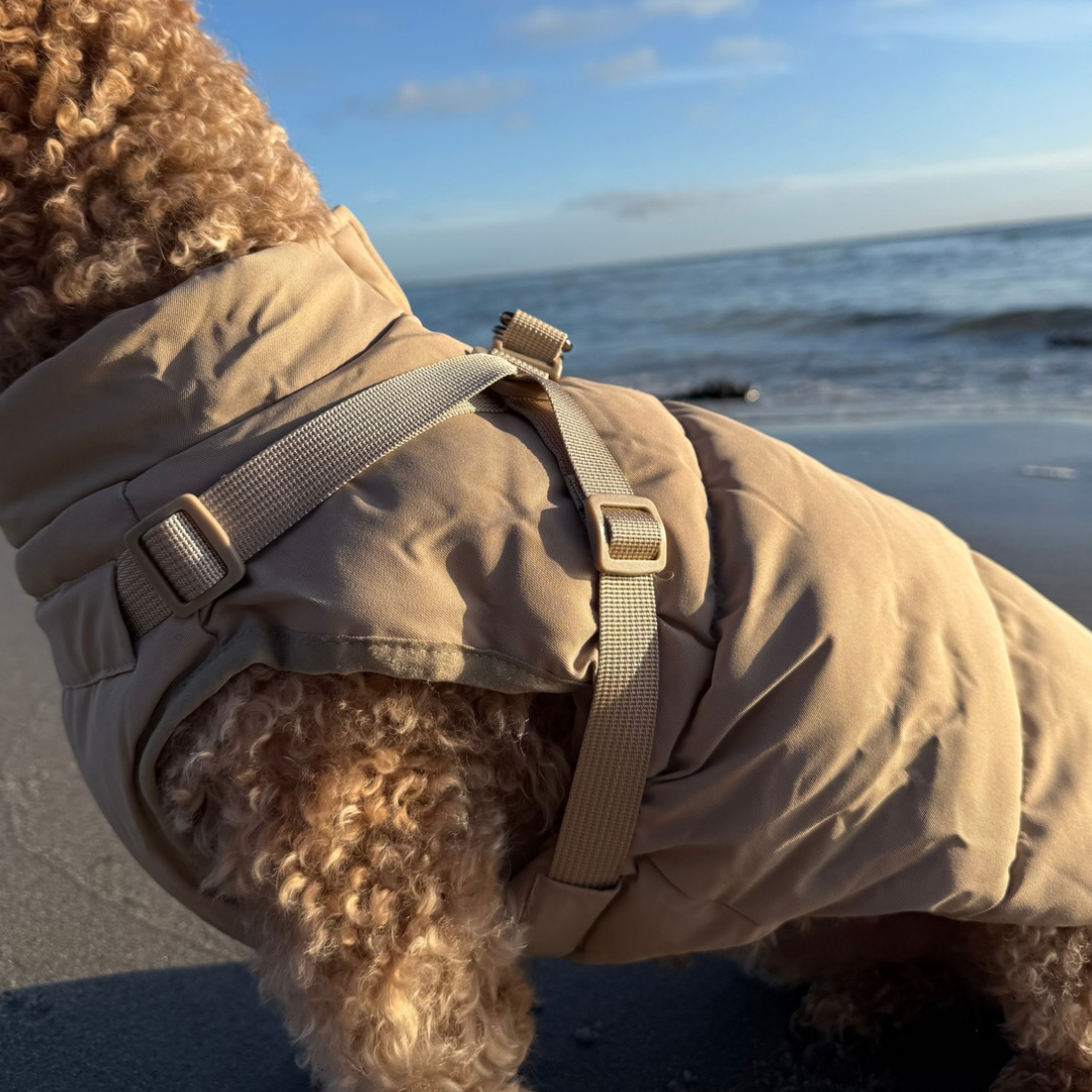 Nora Vinterjakke med indbygget sele – Beige